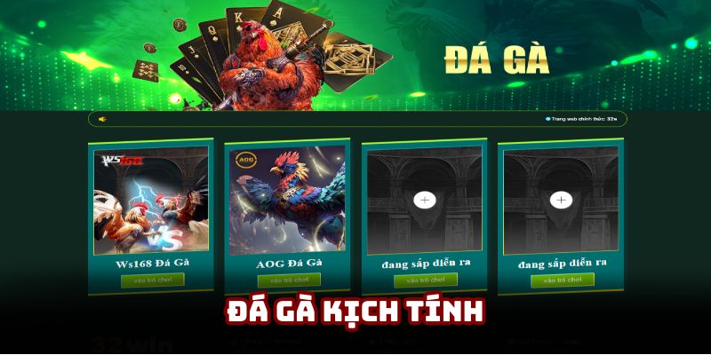 Đá gà kịch tính với nhiều trận đấu được tường thuật trực tiếp