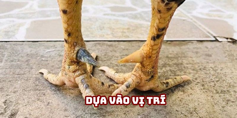 Thành viên có thể dựa vào vị trí xem tốt hay xấu