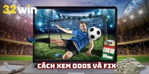 Cách xem Odds và Fix | Chỉ dẫn chính xác nhất năm 2025