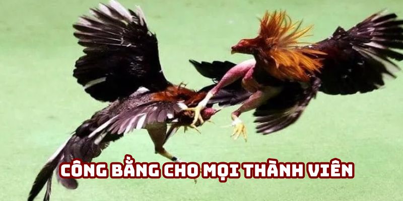 Mọi người chơi đều có khả năng nhận được phần thưởng chiến thắng
