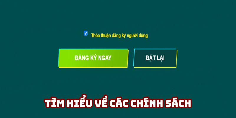 Theo dõi các điều khoản thành viên