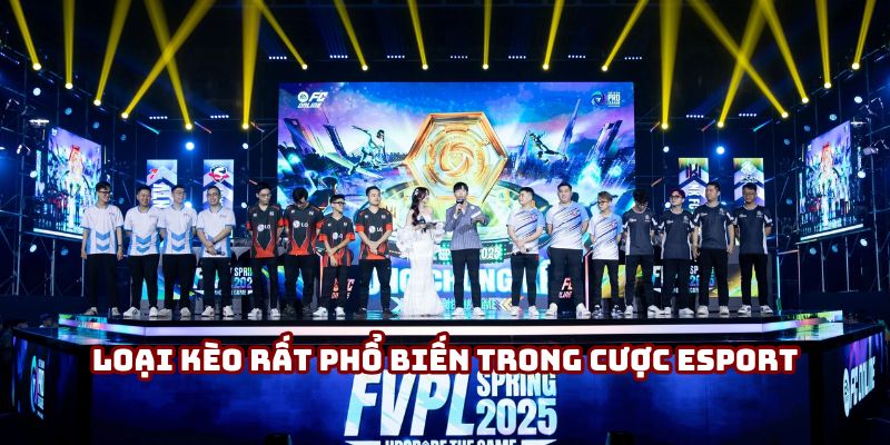 Moneyline khá phổ biến trong nhiều môn thể thao, bao gồm cả Esport