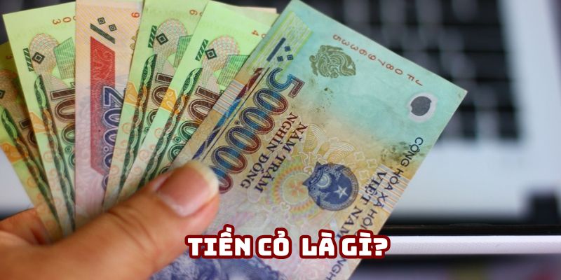 Bạn có thật sự hiểu bản chất của tiền cỏ là gì?